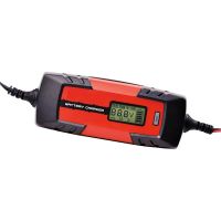 ΦΟΡΤΙΣΤΗΣ &amp; ΣΥΝΤΗΡΗΤΗΣ ΜΠΑΤΑΡΙΑΣ 6/12V Amio