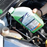 Cartech FLU 4L Blue Whale -17°C