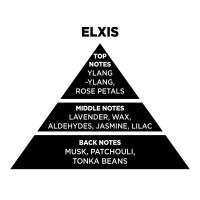 Αρωματικό Χώρου Σε Διάφανο Μπουκάλι Με Μαύρα Sticks "Elxis" 100ml Themagio 77313