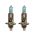 Λάμπες Αλογόνου H1 12V 55w Rainbow Blue Type-R TR-9101B 2 Τεμάχια