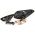 Πισινά Φανάρια Set Για Ford Focus 18-21 Hatchback 3D/5D Led  Κόκκινο/Smoke