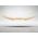 Αεροτομή Οροφής Για Bmw X1 U11 2022+ Άβαφη Από Abs Πλαστικό
