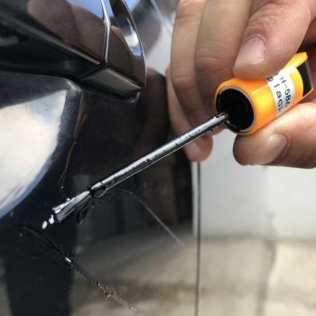 Πινελάκι & Στυλό Επιδιόρθωσης Χρώματος Αυτοκινήτου Touch Up Paint Χρυσό Σαμπανί Guard 12ml WH-284