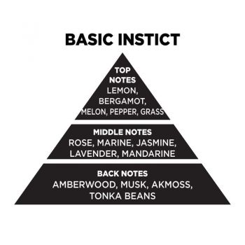 Αρωματικό Χώρου Σε Μαύρο Μπουκάλι Με Μαύρα Sticks "Basic Instict" 200ml Themagio 77329