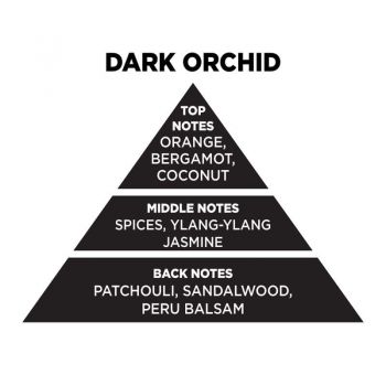 Αρωματικό Χώρου Σε Μαύρο Μπουκάλι Με Μαύρα Sticks "Dark Orchid" 100ml Themagio 77326