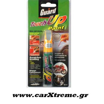 Ασημί Γκρί Χρώμα με Πινελάκι για Γρατζουνιές