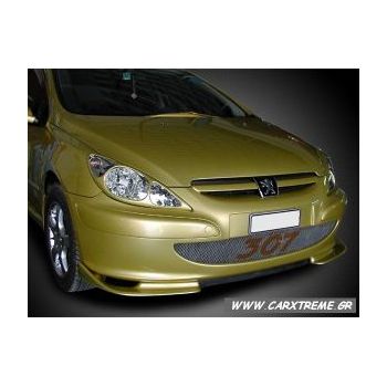 Peugeot 307 - Εμπρός μασκάκια