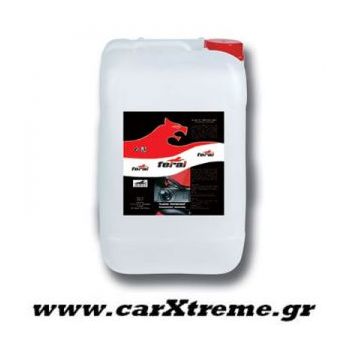 Γυαλιστικό Συντηρητικό Πλαστικών 13LT της Feral